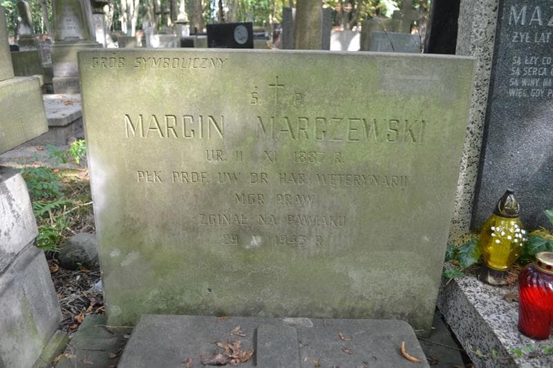 Zdjęcie grobu Stanisław Marczewski (2)