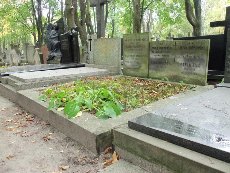 Zdjęcie grobu Maria Borkowska (1)