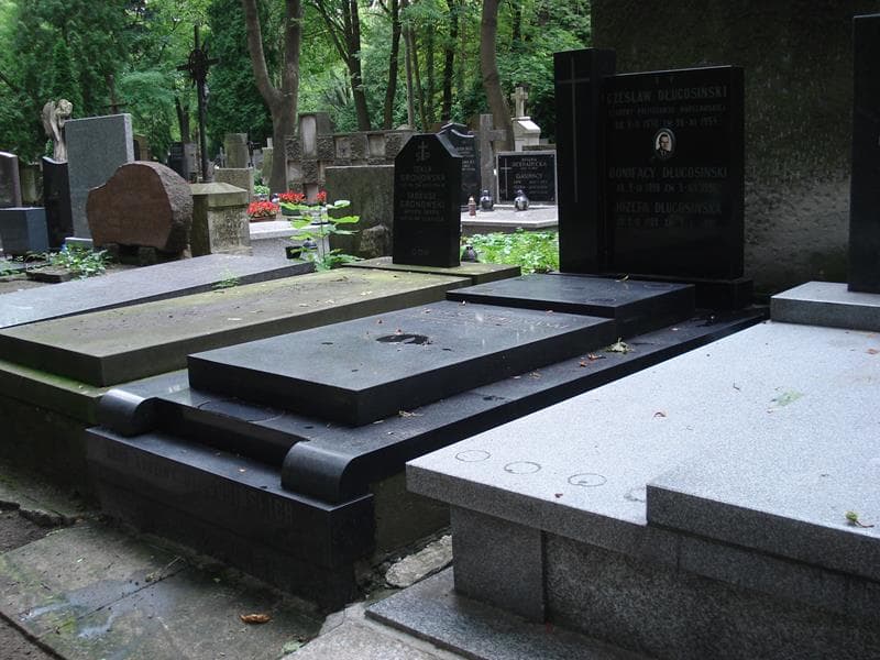 Zdjęcie grobu Tadeusz Długosiński (1)