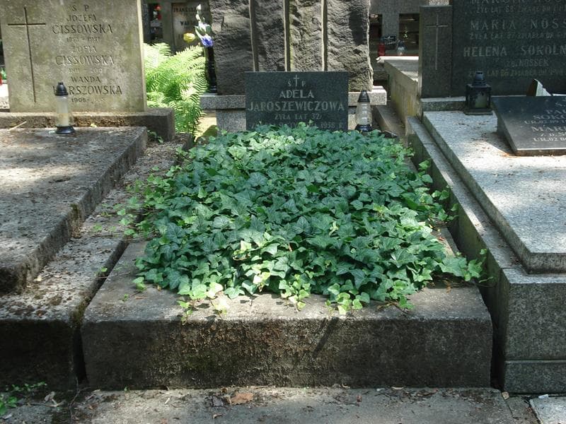 Zdjęcie grobu: Adela Jaroszewiczowa