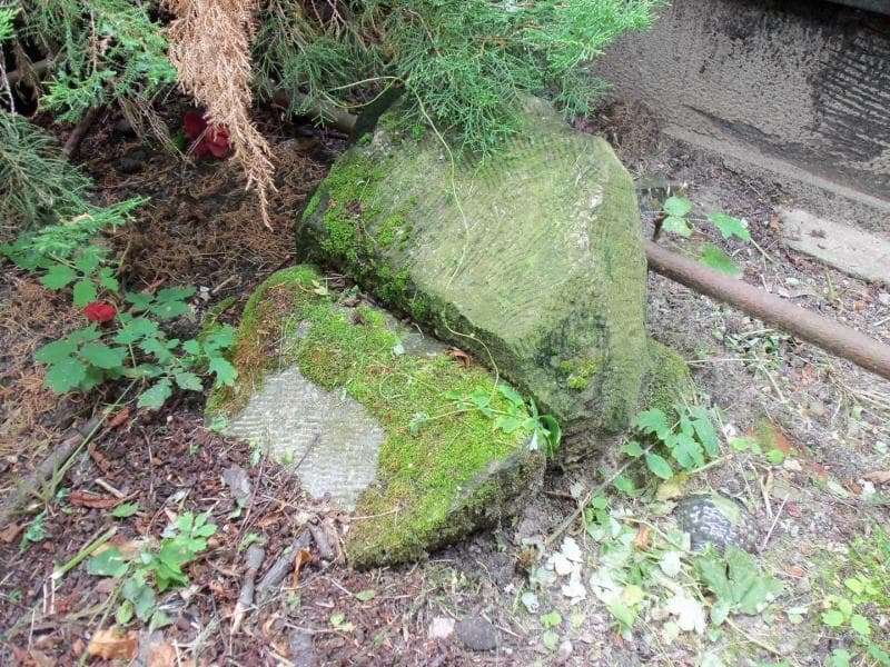 Zdjęcie grobu Teodor Zaborowski (1)