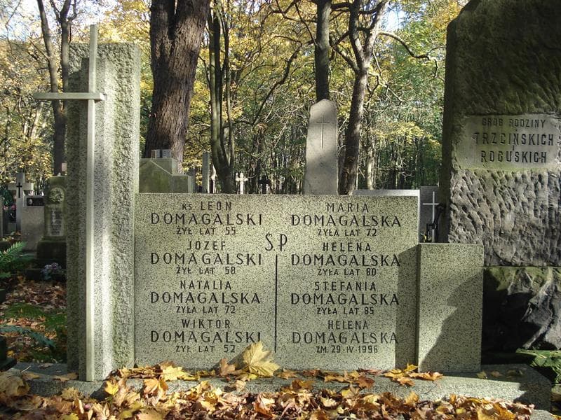 Zdjęcie grobu Helena Domagalska (2)