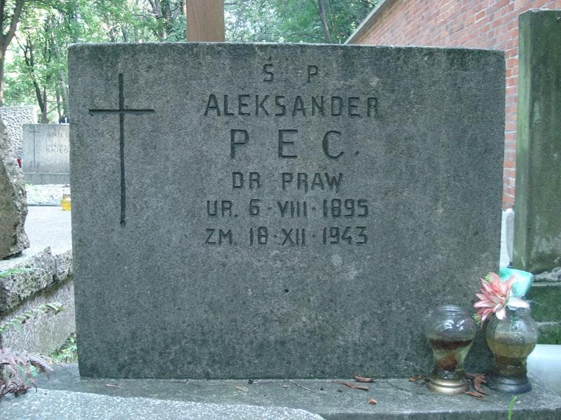 Zdjęcie grobu Aleksander Pec (2)