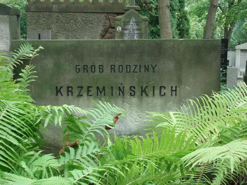 Zdjęcie grobu Władysław Krzemiński (2)