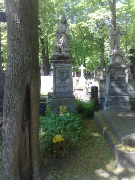 Zdjęcie grobu: Marya Koblewska