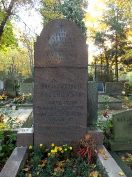Zdjęcie grobu Zofia Pałdyna (2)