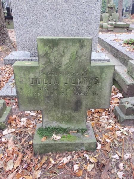 Zdjęcie grobu Julja Jentys (2)