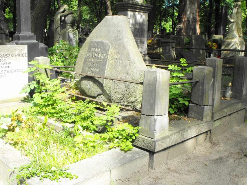 Zdjęcie grobu Adam Poniatowski (1)