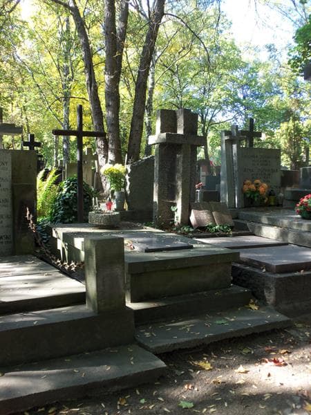 Zdjęcie grobu Feliks Białowiejski (1)