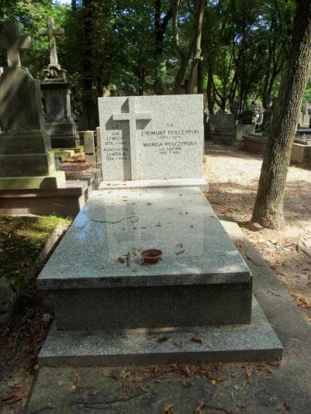 Zdjęcie grobu: Zygmunt Polczyński