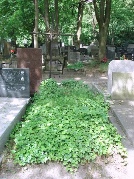 Zdjęcie grobu Anonim (1)