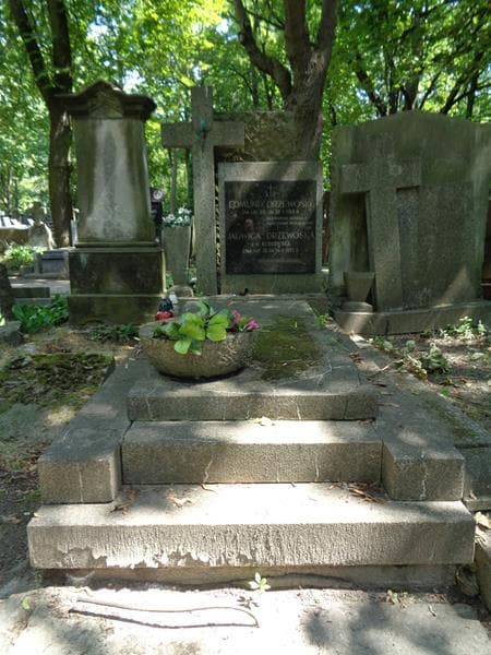 Zdjęcie grobu Edmund Drzewoski (1)