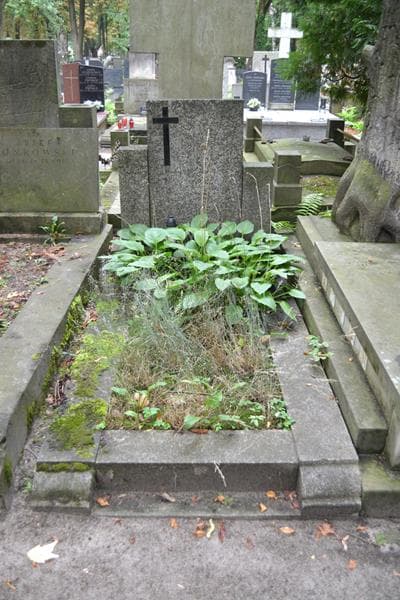 Zdjęcie grobu: Szczepan Maliszewski