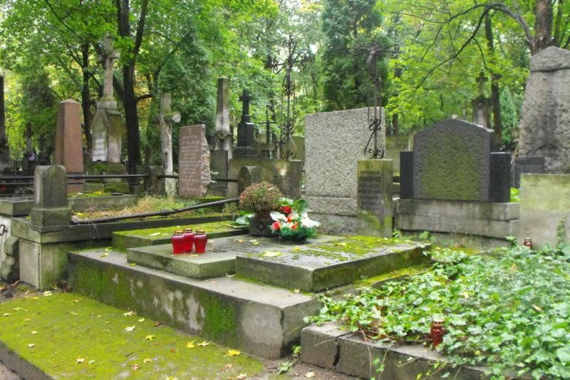 Zdjęcie grobu Henryk Ignatowicz (1)