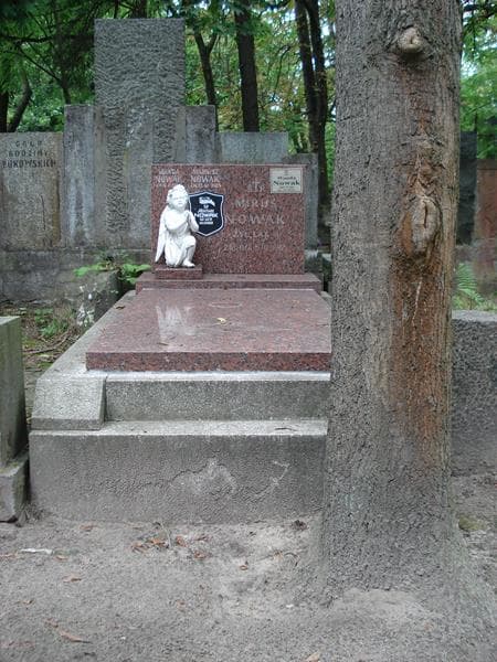 Zdjęcie grobu: Wanda Nowak