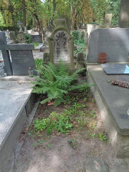 Zdjęcie grobu Wincenty Pawłowski (1)