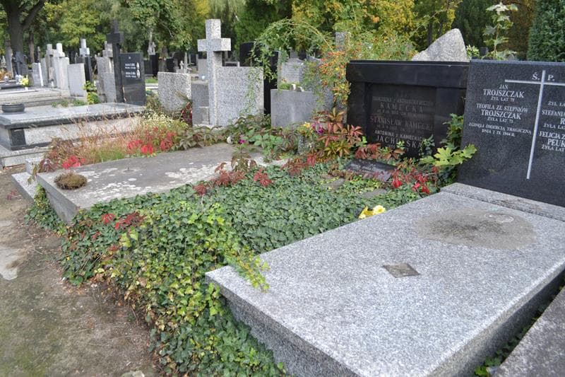 Zdjęcie grobu: Antonina Jachulska