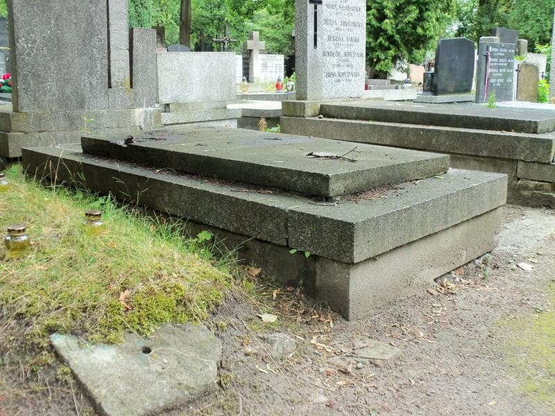 Zdjęcie grobu Ludwik Heyne (1)