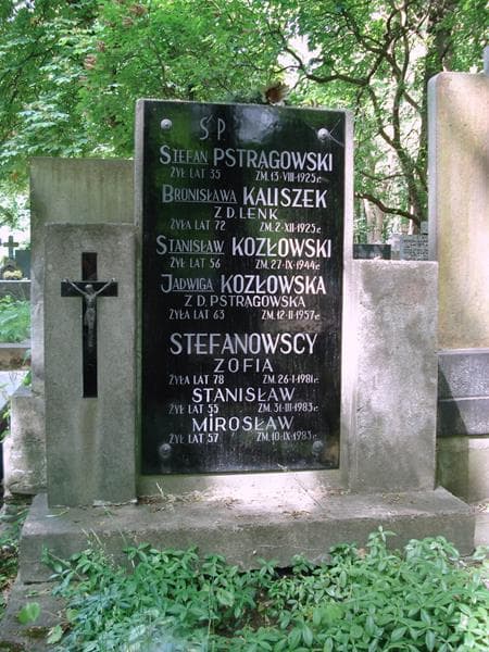 Zdjęcie grobu Stanisław Kozłowski (2)