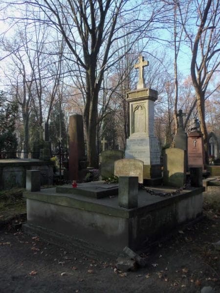 Zdjęcie grobu Stefan Truchliński (1)
