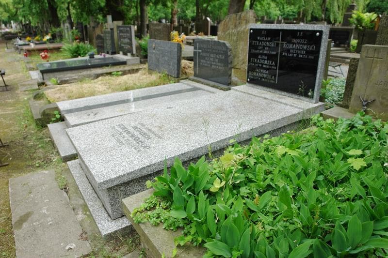 Zdjęcie grobu: Wacław Stradomski