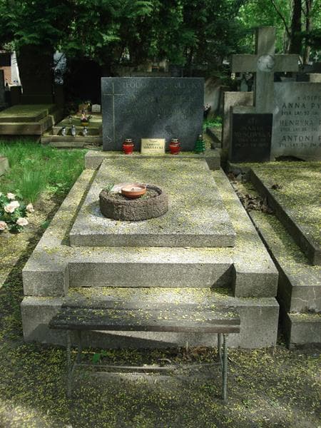 Zdjęcie grobu: Antoni Mikulecki