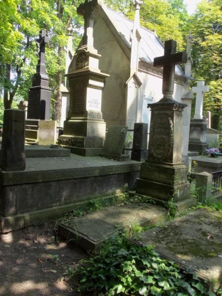 Zdjęcie grobu Wilchelm Tanasiewicz (1)