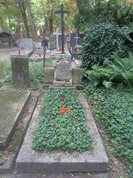 Zdjęcie grobu Stefan Podczaski (1)