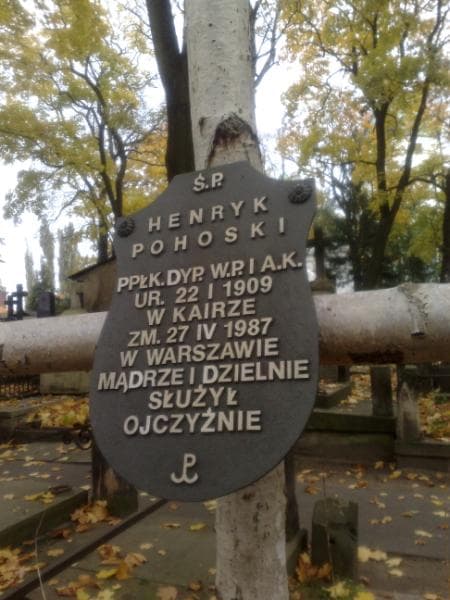 Zdjęcie grobu Henryk Pohoski (2)