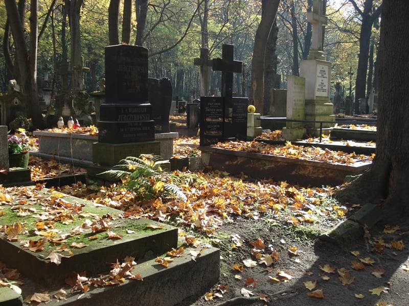 Zdjęcie grobu Filomena Jurczykowska (1)