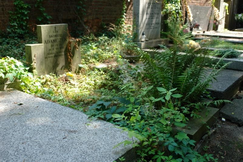 Zdjęcie grobu Kazimierz Adamczyk (1)