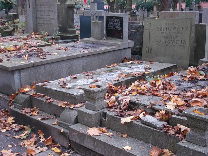 Zdjęcie grobu Stanisława Szligwejn (1)