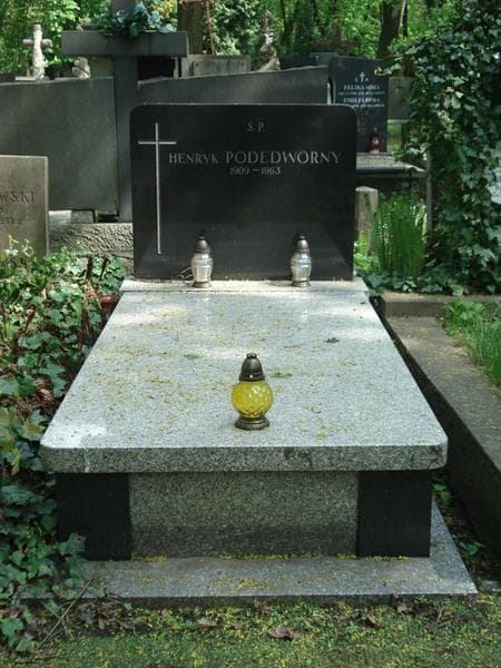 Zdjęcie grobu: Henryk Podedworny