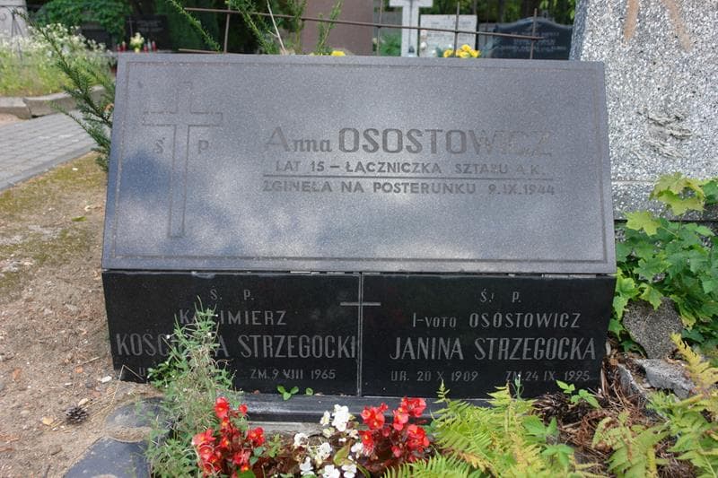 Zdjęcie grobu Janina Strzegocka (2)