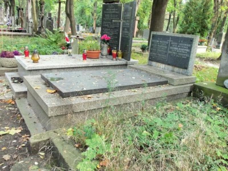 Zdjęcie grobu Maria Majewska (1)