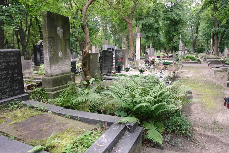 Zdjęcie grobu: Bronisława Lewicka