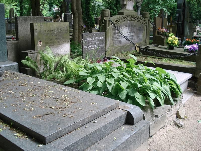 Zdjęcie grobu: Zenaida Kwiatkowska