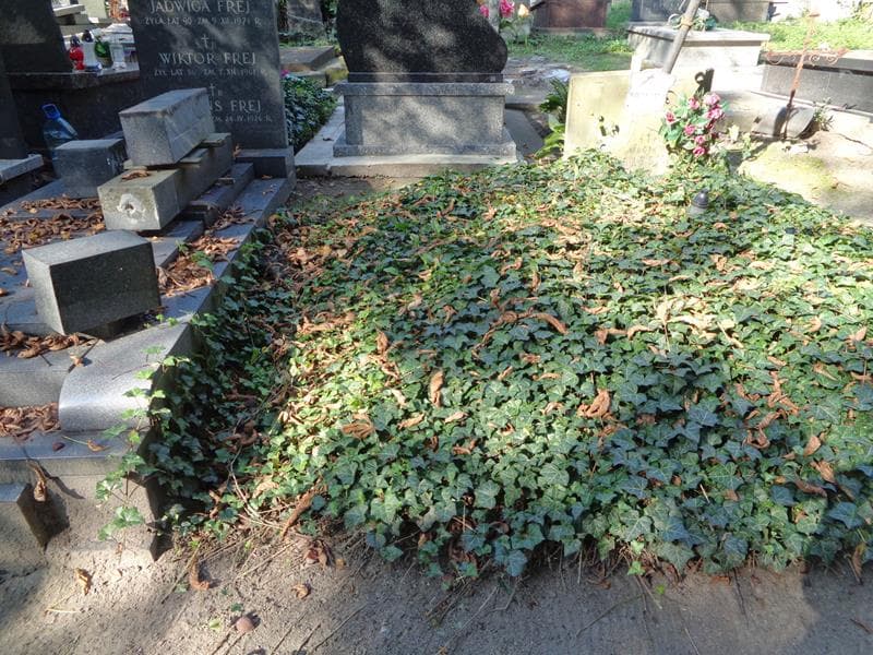 Zdjęcie grobu: Pole Grobowe