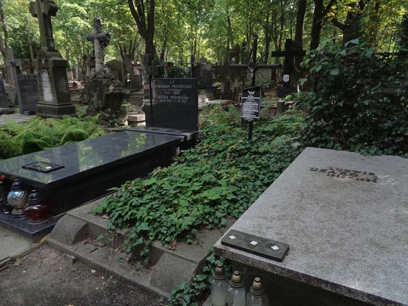 Zdjęcie grobu: Stanisław Książkiewicz