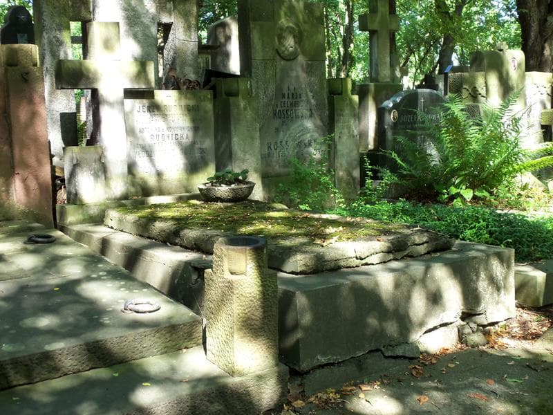 Zdjęcie grobu Jerzy Rudnicki (1)
