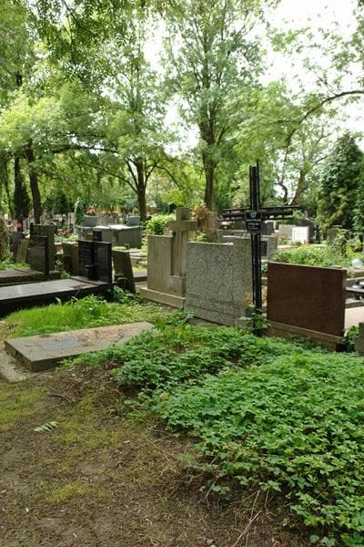 Zdjęcie grobu: Mieczysław Cybulski