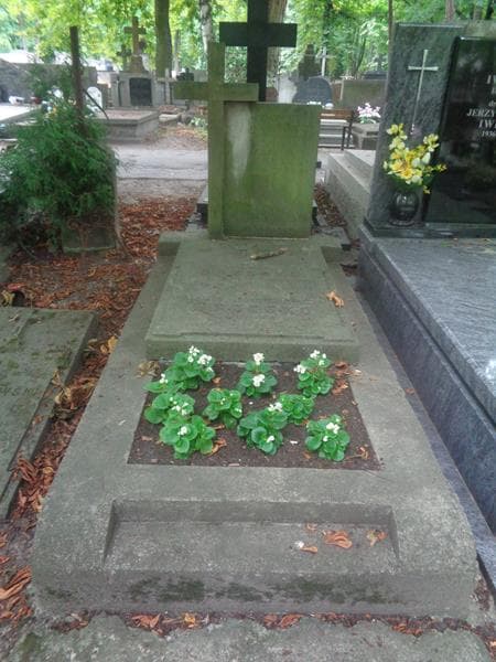 Zdjęcie grobu Władysław Brzosko (1)