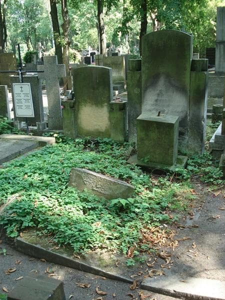 Zdjęcie grobu Ignacy Chaciński (1)