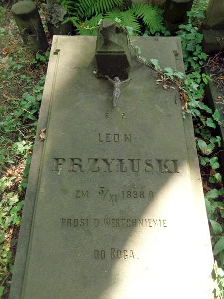 Zdjęcie grobu Leon Przyłuski (2)