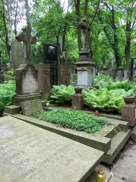 Zdjęcie grobu Aleksander Rudziński (1)