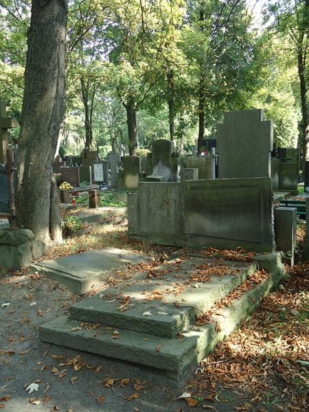 Zdjęcie grobu Tadeusz Waryński (1)