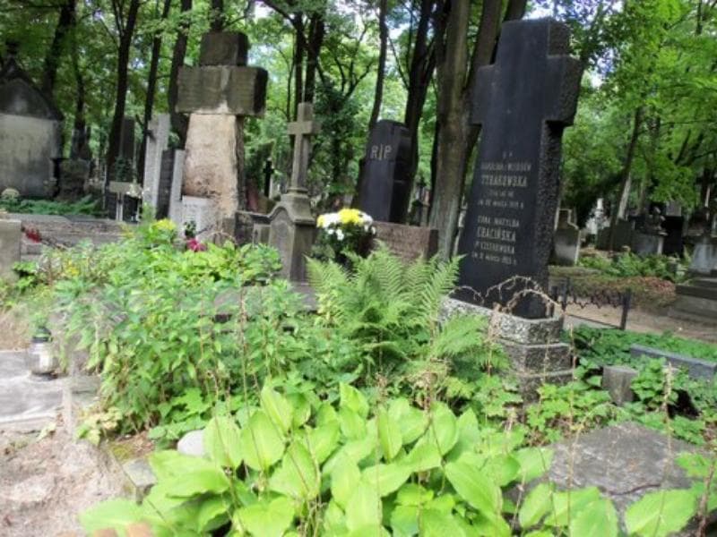 Zdjęcie grobu Erna Matylda Czechowska (1)
