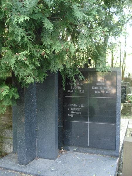 Zdjęcie grobu Maria Budna (2)