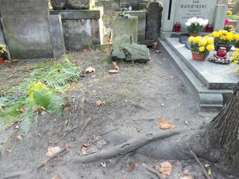 Zdjęcie grobu: Balbina Uszyńska