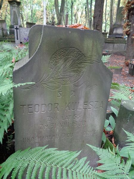 Zdjęcie grobu Teodor Kulesza (2)